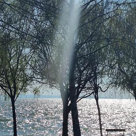 Kazinczy بالاتوناكاراتيا