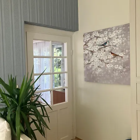 Kazinczy فيلة بالاتوناكاراتيا