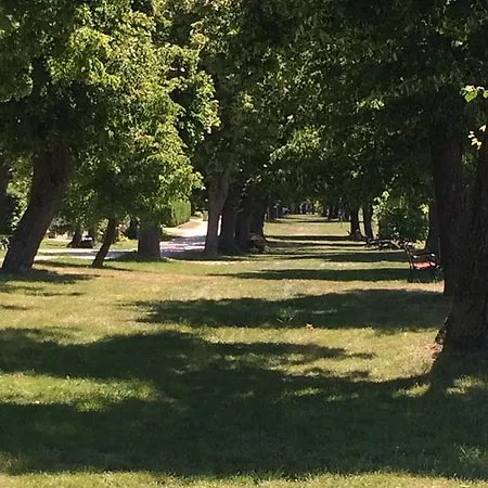 Kazinczy فيلة بالاتوناكاراتيا