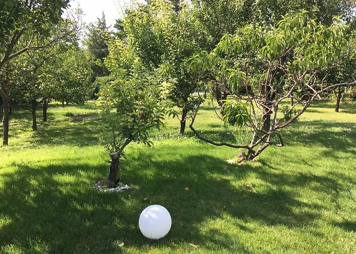 Kazinczy Balatonakarattya